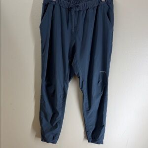 Patagonia Men's Navy Blue Lightweight Joggers